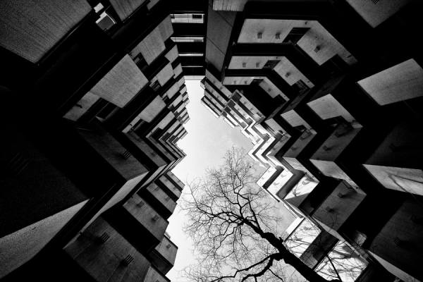 Photograph Ryota Aokigi Shape on One Eyeland